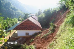 Nhiều nhà dân ở vị trí dưới cung sạt lở, sụt trượt vách taluy dương rất nguy hiểm. (Ảnh: Xuân Tiến/TTXVN)