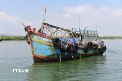 Tàu BT 94466 TS đang được neo giữ chờ xử lý. (Ảnh: TTXVN phát)