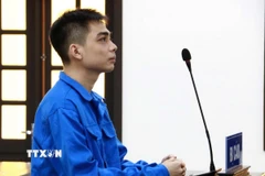 Hội đồng xét xử Tòa án Nhân dân tỉnh Cà Mau tuyên phạt bị cáo Lê Phúc Thịnh 12 năm tù về tội “lừa đảo chiếm đoạt tài sản." (Ảnh: TTXVN phát)