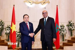 Chủ tịch Quốc hội Trần Thanh Mẫn hội kiến Chủ tịch Thượng viện Maroc Mohamed Ould Errachid. (Ảnh: Doãn Tấn/TTXVN)
