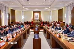 Chủ tịch Quốc hội Trần Thanh Mẫn hội đàm với Chủ tịch Hạ viện Maroc Rachid Talbi Alami. (Ảnh: Doãn Tấn/TTXVN)