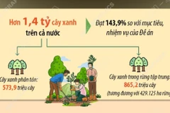 Hơn 1,4 tỷ cây xanh đã được trồng trong vòng 5 năm qua
