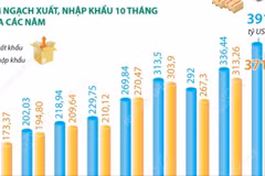 10 tháng năm 2025: Kim ngạch xuất, nhập khẩu tăng 17,4%
