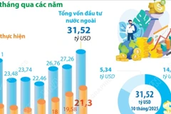 10 tháng năm 2025: Tổng vốn FDI đăng ký vào Việt Nam đạt 31,52 tỷ USD