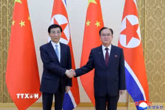 Bí thư Ban Chấp hành Trung ương Đảng Lao động Triều Tiên Jo Yong Won và Chủ tịch Ủy ban Toàn quốc Hội nghị Hiệp thương Chính trị Nhân dân Trung Quốc (Chính hiệp) Vương Hộ Ninh tại cuộc hội đàm ở Bình Nhưỡng ngày 15/7/2026. (Ảnh: Yonhap/TTXVN phát)