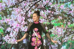 Một mẫu áo dài do nhà thiết kế Lan Hương sáng tạo, được người mẫu trình diễn. (Ảnh Việt Thắng/TTXVN)