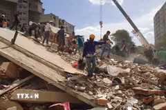 Các lực lượng cứu hộ Venezuela tìm kiếm những người mất tích và mắc kẹt dưới đống đổ nát. (Ảnh: Phi Hùng/TTXVN)