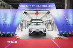 Các mẫu ôtô EV được sản xuất tại nhà máy VinFast Ấn Độ. (Ảnh: Ngọc Thúy/TTXVN)