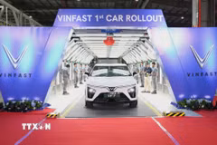 Các mẫu ôtô EV được sản xuất tại nhà máy VinFast Ấn Độ. (Ảnh: Ngọc Thúy/TTXVN)