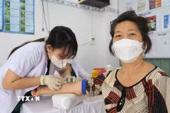 Khám bệnh cho người cao tuổi tại Thành phố Hồ Chí Minh. (Ảnh: Đinh Hằng/TTXVN)