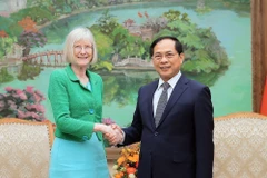 Phó Thủ tướng, Bộ trưởng Bộ Ngoại giao Bùi Thanh Sơn tiếp Đại sứ đặc mệnh toàn quyền Australia tại Việt Nam Gillian Bird. Ảnh: An Đăng - TTXVN