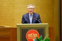 Phó Thủ tướng Thường trực Chính phủ Nguyễn Hòa Bình phát biểu. (Ảnh: Doãn Tấn/TTXVN)