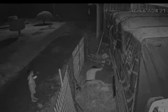 Camera ghi lại cảnh đối tượng dùng dao đâm chết người tình.