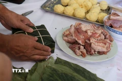 Những chiếc bánh chưng xanh vuông vức - biểu tượng của đất trời giao hòa, của sum vầy và ấm no. (Ảnh: Hồng Minh/TTXVN)