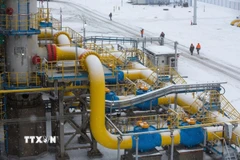 Điểm xuất phát của hệ thống đường ống dẫn khí đốt tự nhiên Nord Stream 2 ở Ust-Luga, Nga. (Ảnh: Bloomberg/TTXVN)