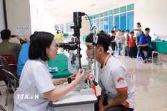 Bác sỹ khám mắt miễn phí cho học sinh có hoàn cảnh khó khăn trên địa bàn tỉnh. (Ảnh: Quý Trung/TTXVN)