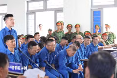 Các bị cáo tại phiên tòa. (Ảnh: Nguyễn Thanh/TTXVN)