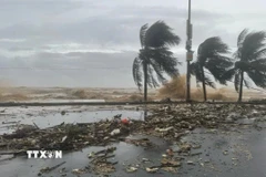 Gió mạnh, từng đợt sóng lớn đánh vào bờ đê dọc tuyến phố Hồ Xuân Hương, Sầm Sơn (Thanh Hóa). (Ảnh: Việt Hoàng/TTXVN)