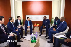 Thủ tướng Phạm Minh Chính gặp Thủ tướng Senegal Ousmane Sonko. (Ảnh: Dương Giang/TTXVN)
