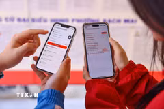 Cử tri là sinh viên Đại học Bách khoa Hà Nội xem thông tin cần thiết của người ứng cử trên VNeID để chủ động tìm hiểu, nâng cao nhận thức khi tham gia bầu cử. (Ảnh: Thanh Tùng/TTXVN)