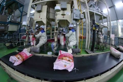 Senegal đang là thị trường tiềm năng cho xuất khẩu gạo của Việt Nam. (Ảnh: Vũ Sinh/TTXVN)