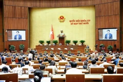 Bộ trưởng Bộ Công an Lương Tam Quang trình bày Tờ trình về dự án Luật Phòng, chống ma túy (sửa đổi). (Ảnh: Doãn Tấn/TTXVN)