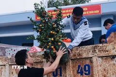 Những món quà Tết đầy ý nghĩa được chuyển đến nhân dân, các lực lượng trên đảo. (Ảnh minh họa: Trần Việt/TTXVN)