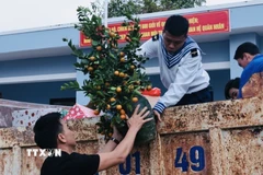 Những món quà Tết đầy ý nghĩa được chuyển đến nhân dân, các lực lượng trên đảo. (Ảnh minh họa: Trần Việt/TTXVN)