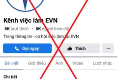 Hình ảnh Fanpage giả mạo thương hiệu EVN.