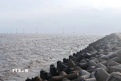 Tuyến đê kè chắn sóng tại xã Gành Hào, tỉnh Cà Mau. (Ảnh: Chanh Đa/TTXVN)