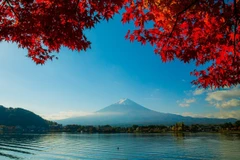 Khung cảnh tuyệt đẹp của núi Phú Sĩ được tô điểm bởi sắc đỏ rực rỡ của lá phong. (Ảnh: Xuân Giao/TTXVN)