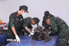 Các quy trình sau khi khai quật hài cốt liệt sỹ được thực hiện cẩn thận, tỉ mỉ, khoa học, đảm bảo an toàn. (Ảnh: Xuân Khu/TTXVN)