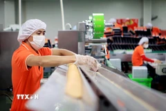 Sản xuất các mặt hàng xuất khẩu tại Công ty Cổ phần Quốc tế Bảo Hưng (Cụm công nghiệp Tân Minh, huyện Vũ Thư, tỉnh Thái Bình). (Ảnh: Thế Duyệt/TTXVN)