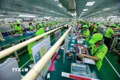 Hoạt động sản xuất tại một công ty ở thành phố Hòa Bình, tỉnh Hòa Bình. (Ảnh: Trọng Đạt/TTXVN)