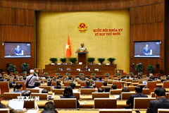 Quang cảnh phiên họp. (Ảnh: Doãn Tấn/TTXVN)