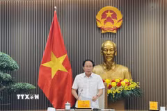 Phó Thủ tướng Chính phủ Lê Tiến Châu phát biểu tại cuộc họp. (Ảnh: Diệp Trương/TTXVN)