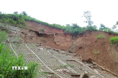  (Ảnh minh họa: Xuân Tiến/TTXVN)