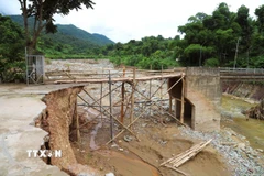 Lũ ống, lũ quét gây sạt lở nghiêm trọng và cuốn trôi hoàn toàn phần đường dẫn lên cầu Huồi Xá (xã Nhôn Mai, tỉnh Nghệ An). Người dân phải dùng tre, gỗ nối nhịp tạm để qua cầu. (Ảnh: Xuân Tiến/TTXVN)