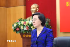 Bí thư Trung ương Đảng, Phó Thủ tướng Chính phủ Phạm Thị Thanh Trà phát biểu tại buổi làm việc. (Ảnh: Chu Thanh Vân/TTXVN)