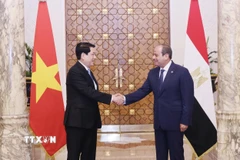 Chủ tịch nước Lương Cường và Tổng thống Ai Cập Abdel Fattah El-Sisi. (Ảnh: Lâm Khánh/TTXVN)