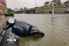 Hơn 357 tỷ đồng bảo hiểm bồi thường thiệt hại. (Ảnh: TTXVN phát)