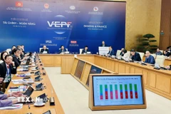 Quang cảnh phiên chuyên đề 1. (Ảnh: Việt Đức/TTXVN)