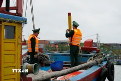 Bộ đội biên phòng Gia Lai kiểm tra tàu cá "3 không". (Ảnh: TTXVN phát)