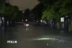 Đường Trần Phú (phường Tuy Hòa) bị ngập trong đêm 19/11. (Ảnh: Tường Quân/TTXVN)