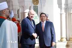 Thủ tướng Phạm Minh Chính hội kiến Tổng thống Algeria Abdelmadjid Tebboune. (Ảnh: Dương Giang/TTXVN)