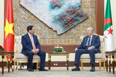 Thủ tướng Phạm Minh Chính hội kiến Tổng thống Algeria Abdelmadjid Tebboune. (Ảnh: Dương Giang/TTXVN)