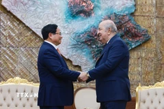 Thủ tướng Phạm Minh Chính hội kiến Tổng thống Algeria Abdelmadjid Tebboune. (Ảnh: Dương Giang/TTXVN)