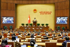 Quang cảnh phiên họp. (Ảnh: Doãn Tấn/TTXVN)