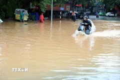 Mưa lớn gây ngập úng một tuyến đường ở Tuyên Quang. (Ảnh: Quang Cường/TTXVN)