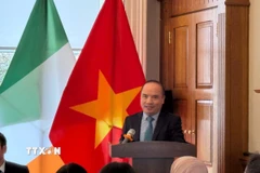 Ông Lê Đình Bá, Tham tán Thương mại, Thương vụ Việt Nam tại Anh (kiêm nhiệm Ireland) phát biểu tại diễn đàn. (Ảnh: TTXVN phát)